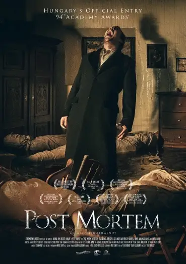 Postmortem - 7starHD
